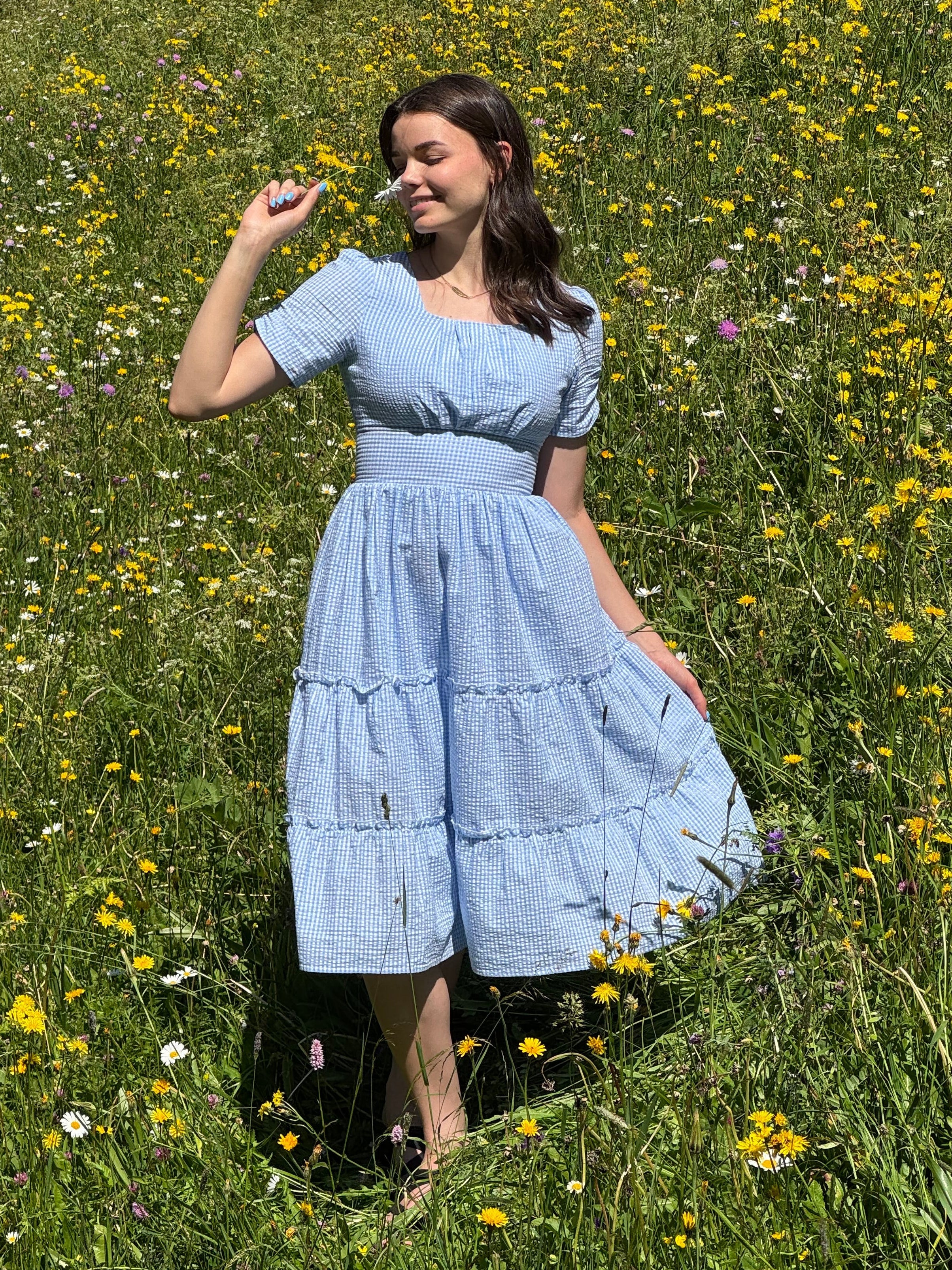 Limerick Dress in Gingham Sky