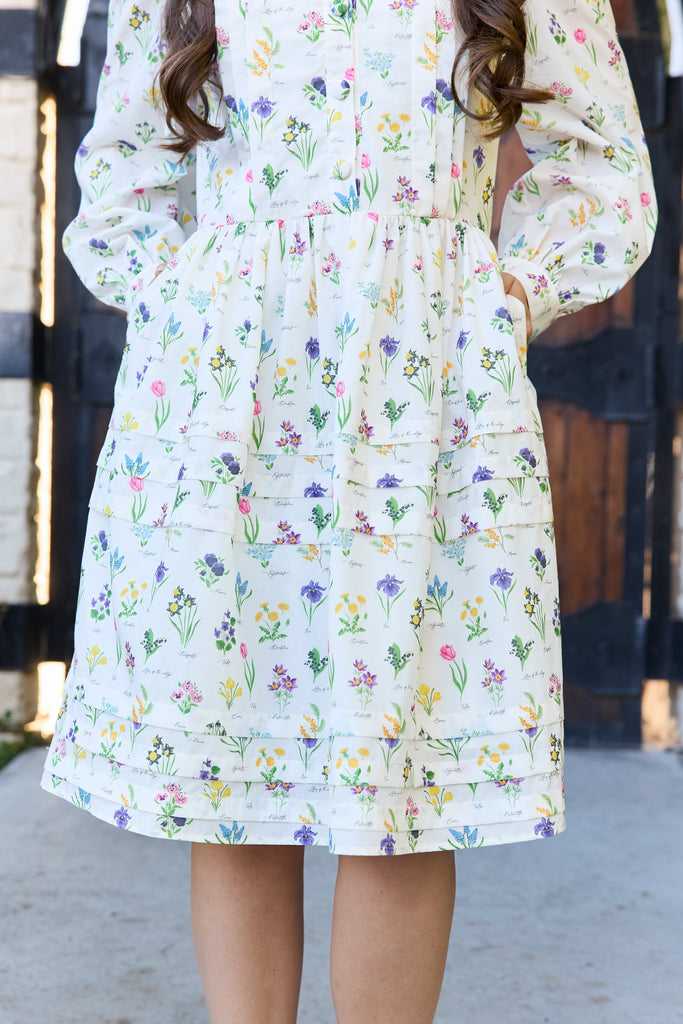 PREORDER Clerihew Dress in Cream | Peter Pan Collared Dress - Poet Dresses