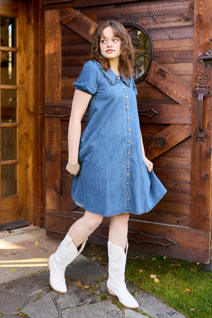 PREORDER Prose Dress in Denim | Knee Length Babydoll Dress - Poet Dresses