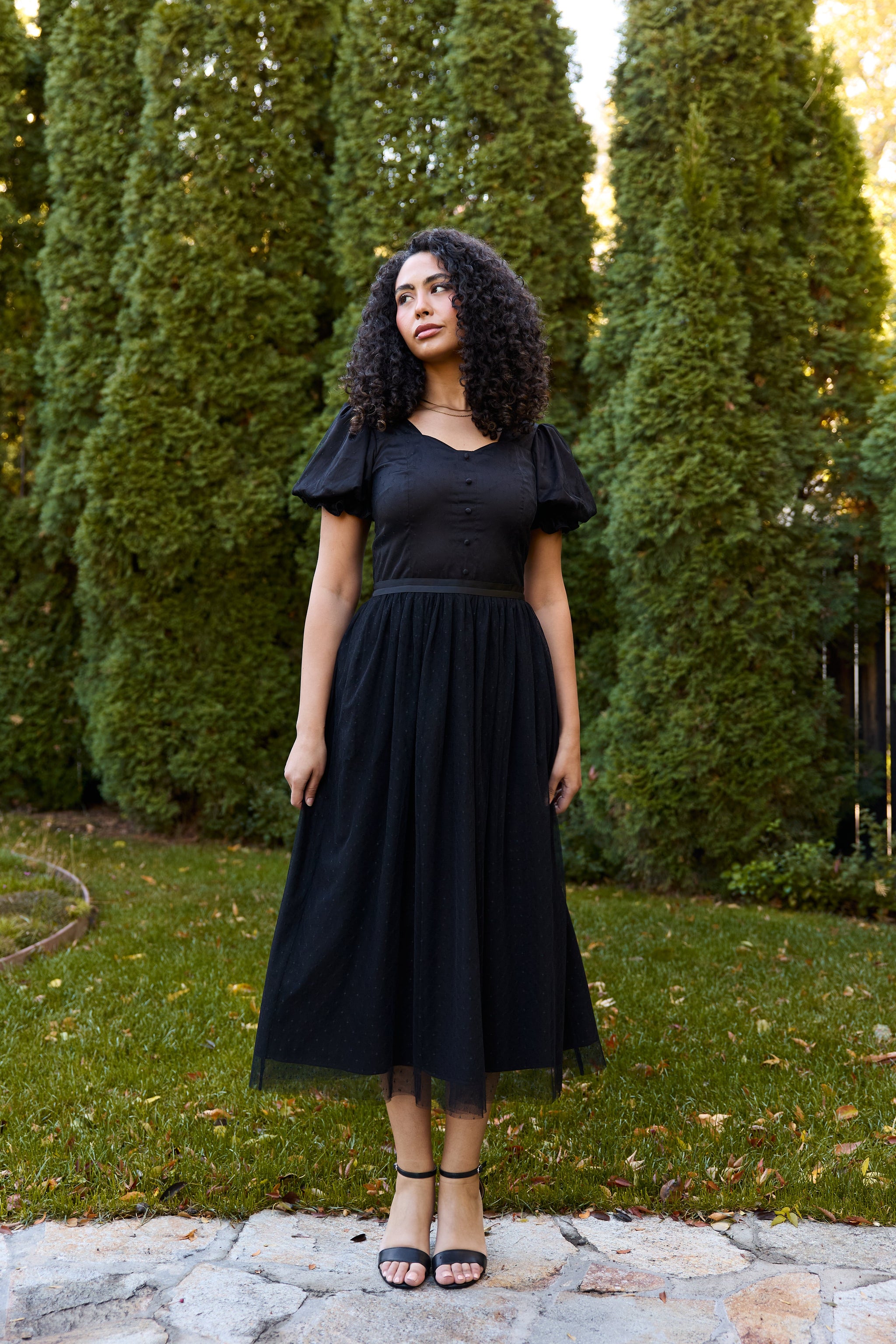 knee length dresses for ladies Daphnie Drop Waist Tulle Midi Dress Black
